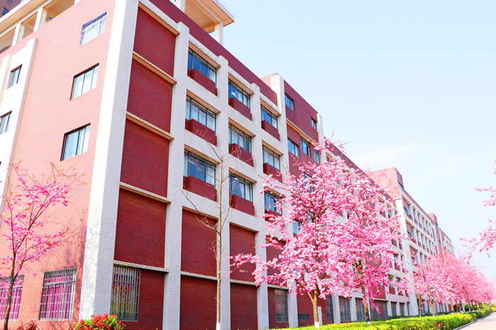 学校风景